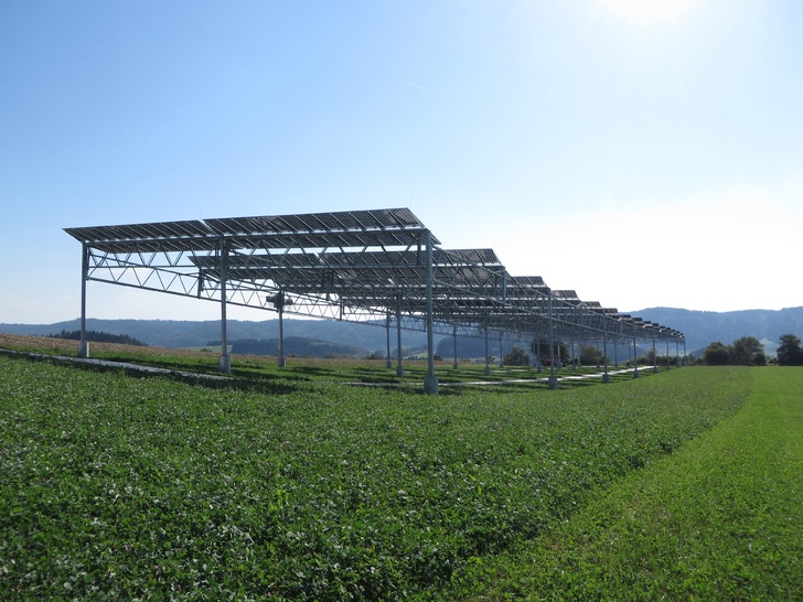 The bifacial modules are installed five meters high so that agricultural machines can work underneath. - © Fraunhofer ISE
