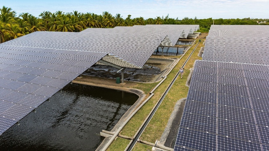 Agri-PV fishfarming.