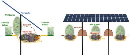 The Flower-Power System as a combination of photovoltaics, ditches, mounds, shrubs and flowering plants.