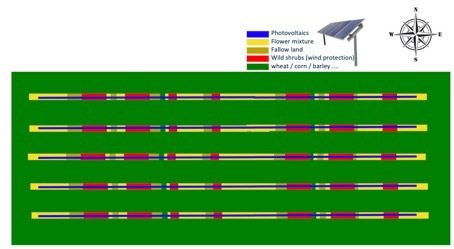 Field layout of a Flower-Power set-up.