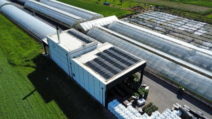 Flower greenhouses kept warm with biomass power