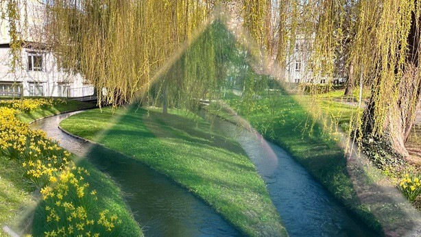 What 43.2 percent transparency looks like against a Freiburg riverbank