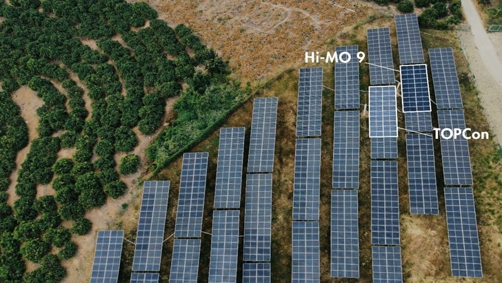 Back Contact Technology vs TOPCon - PV Plant comparison