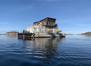 Kvarøy salmon farm off the island of Selsøyvær in the Norwegian Sea.