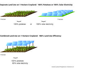 Through the combined land use, the land use efficiency with the APV system is 186 percent. - © Fraunhofer ISE
Through the combined land use, the land use efficiency with the APV system is 186 percent. - © Fraunhofer ISE