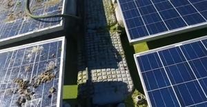 Uncleaned solar panel with bird dropplings (left) and with SOLAR WASH PROTECT cleaned solar panel.