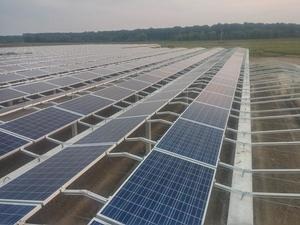 Innovative 500 Kw Agrophotovoltaic Installation In Croatia Pv Europe