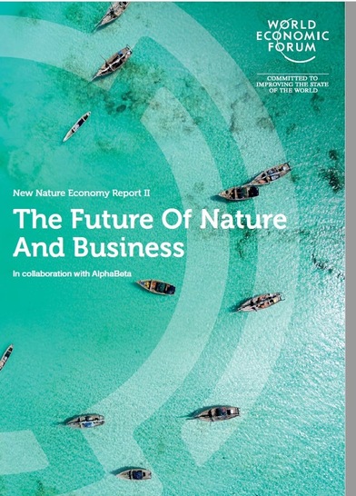 A new  WEF-report shows the huge economic potential of a green economy.