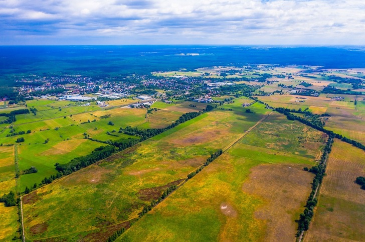 BayWa r.e. is building a solar park with a capacity of 64.6 megawatts near Witnica. Construction of the project, which is not eligible for subsidies, is to be completed by the end of this year. - © BayWa r.e.
