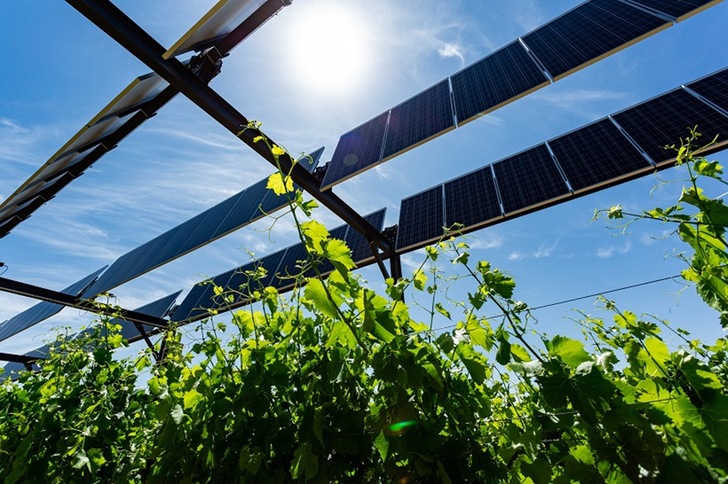 Agri-PV provides shade, protects crops against hail or frost, enables stable crop yields, and increases the electrical yield of solar PV panels. - © Sun Agri
