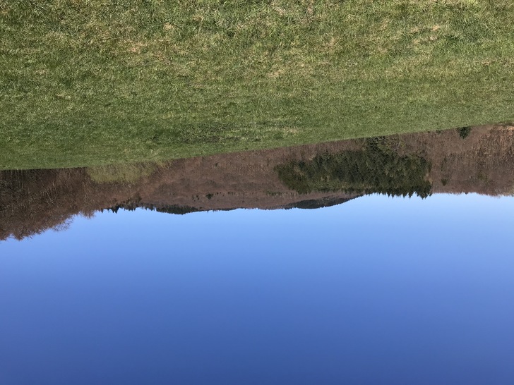 One of the factors that made it obvious to most people that something was different in the spring and early summer of 2020 was that the sky was much clearer than usual.