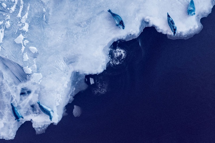 DNV GL is proposing measures to fight global warming and accelerate the global decarbonization.