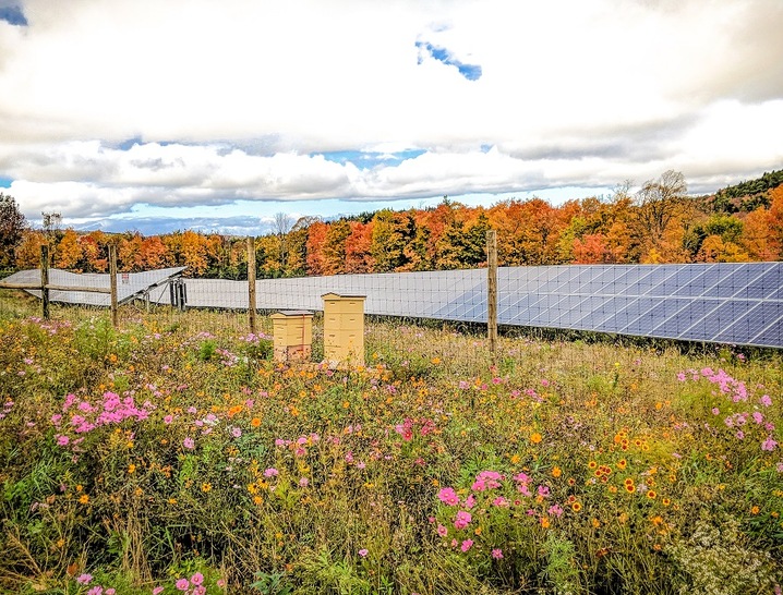 Pollinator-friendly solar sites can increase the yields of some nearby crops.
