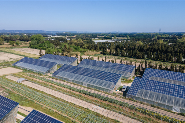 Agrisolar has a huge potential. It combines agriculture with solar power generation.
