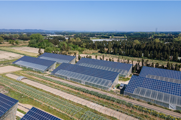 Agrisolar has a huge potential. It combines agriculture with solar power generation. - © Amarenco
