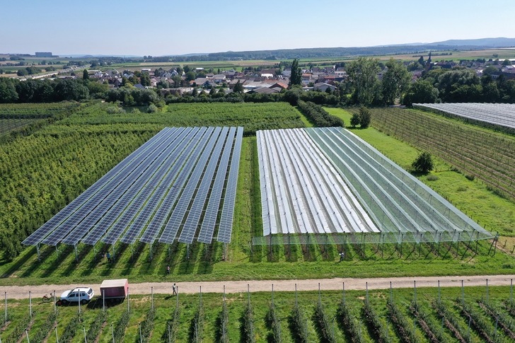 The total test area of the research project "Agri-PV Fruit Growing" covers approx. 9100 m², the Agri-PV system was installed with an output of 258 kWp on approx. 1/3 of the area of the site.