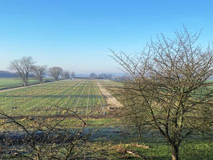 Site for the 9.2 MW Merscher Höhe solar park in Jülich/Germany. - © F&S Solar
