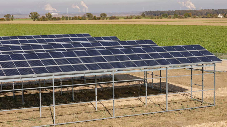 The permanently elevated plant stands on extended mounting posts so that agricultural machinery can also fit underneath.