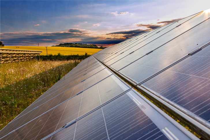 EDF Renewables is seeking academic partners to deliver a programme of ecological research to understand the environmental benefits of solar farms.  - © Getty Images/iStockphoto
