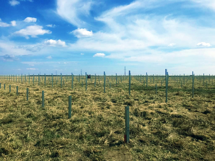 Early construction phase of Ratesi PV plant in Romania.