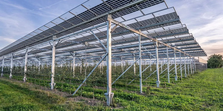 The combination of orchard and photovoltaic systems is considered particularly interesting. But the highly elevated plants are struggling with material price increases, plus costly building permits, at least in Germany. - © Zimmermann PV-Steel Group
