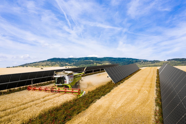 10 percent of the Alhendín solar park in Spain is used as an agri-PV system. - © BayWa r.e.

