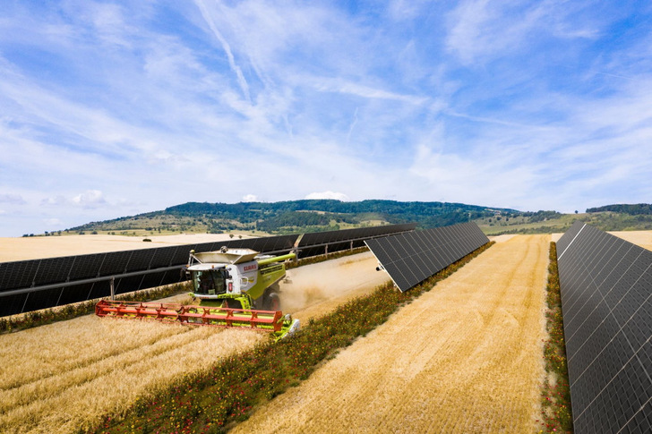 10 percent of the Alhendín solar park in Spain is used as an agri-PV system.
