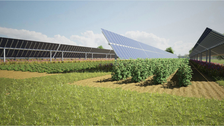 This is what the agriphotovoltaic plant near Berlin, which Elysium Solar is building with financing from Commerzbank, will look like. - © Elysium Solar
