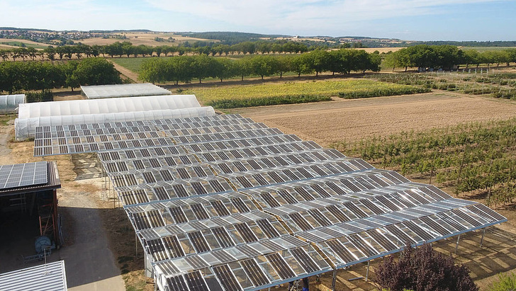 Agri-PV pilot in Oedheim in the South of Germany. - © MKG Göbel
