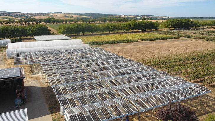 Agri-PV pilot in Oedheim in the South of Germany.