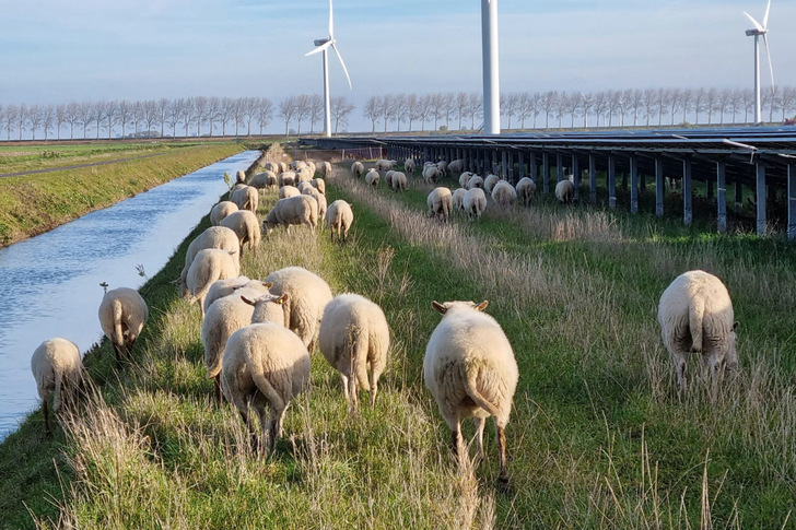 Currently being commissioned: the Symbizon Agri-PV plant near Almere in the Netherlands. - © Vattenfall
