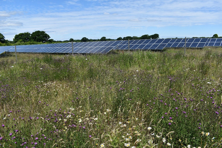 Belectric adds several solar farms in the UK to its O&M portfolio, including the 8.2 MW photovoltaic plant near Berwick in East Sussex. - © Wise Energy
