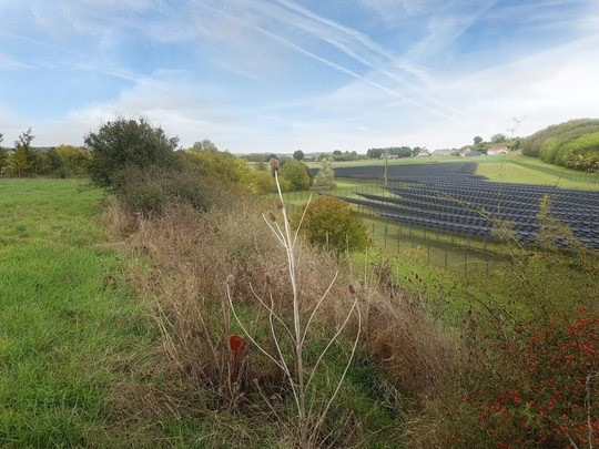 Named Chaume Solar, the 29 MW PV plant is currently under construction by Q Energy in the Sarthe region in France, also creating synergies with local farmers. - © Q Energy
