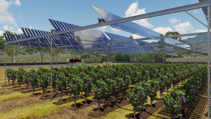 Gridparity can build the solar plants above the vines as fixed elevations or as trackers. - © Gridparity
