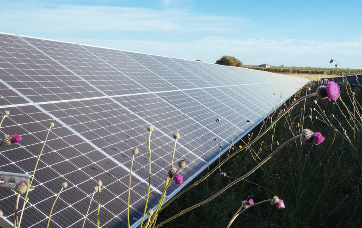 A planned 250MW solar park in Sicily integrates several biodiversity and sustainable land use improvements. - © European Energy
