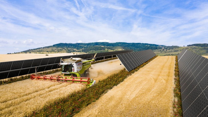 Agri-PV systems enable agriculture and energy production on the same area. - © BayWa r.e.
