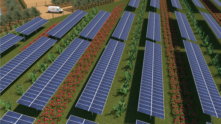 Solar modules and cultivation areas are combined. - © Sens
