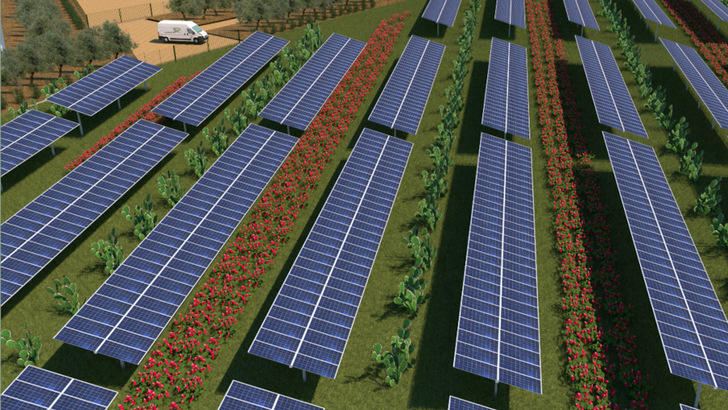 Solar modules and cultivation areas are combined.
