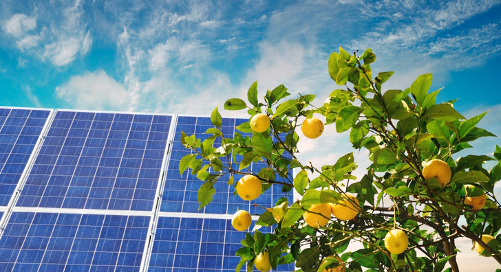 An agrivoltaic system can offer immediate benefits for farmers who operate them on their land.