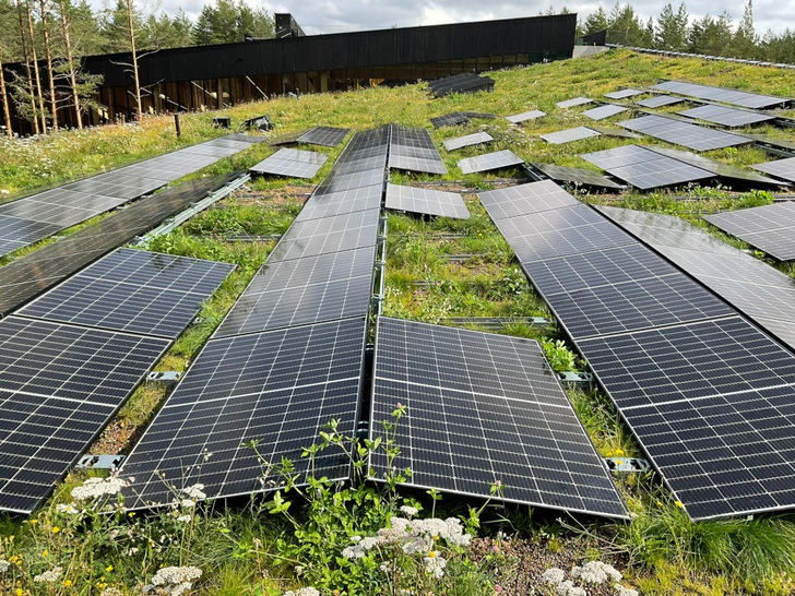 Biodiversity native to the region is also achieved by cultivating 20,000 cuttings which were taken from the surrounding area.