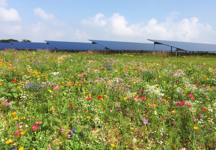 The picture shows a solar farm commissioned by Belectric in 2014 in Weston Longville (United Kingdom).