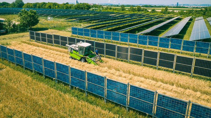 Agricultural use is still possible without any problems. The farmer has a second income with the solar plant. - © Wien Energie/Raphael Faschang
