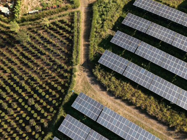 The french version of the Agrisolar Best Practice Guidelines was launched by SolarPower Europe. - © Akuo
