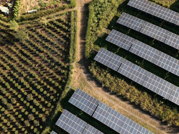 The french version of the Agrisolar Best Practice Guidelines was launched by SolarPower Europe.