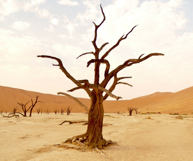 The effects of climate change are becoming ever more drastic, but are receiving less attention.