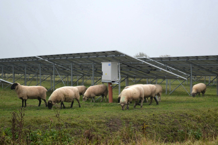 PNE has sold several solar projects in Italy to investors.