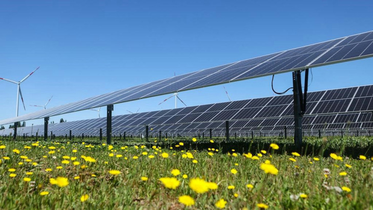 The solar park in Pallihue was built in the direct neighbourhood of an existing wind farm.