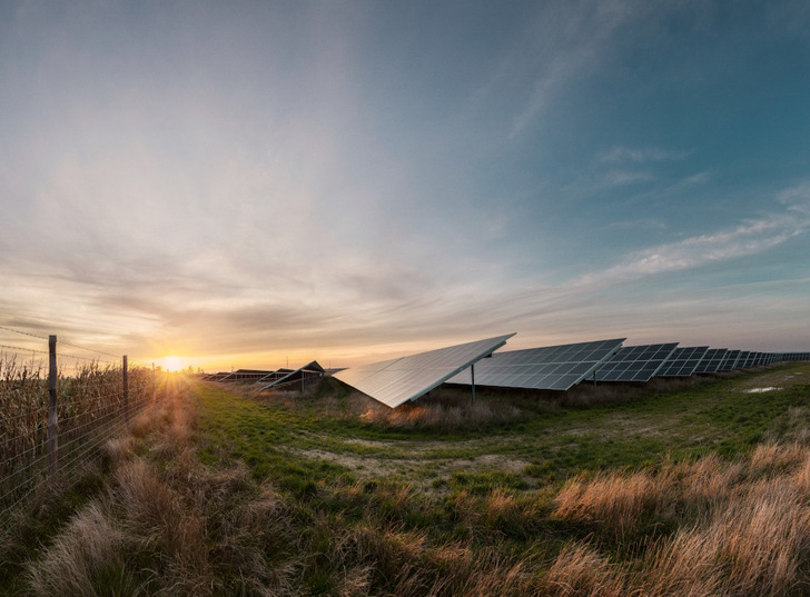 A core element of the collaboration between the Danish Society for Nature Conservation and European Energy is to give nature more space, both within and beyond solar and wind park projects. - © European Energy