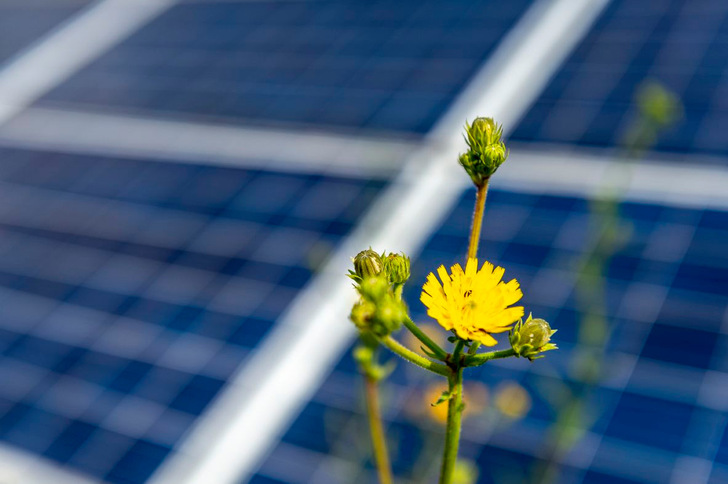 Another large solar park was transacted successfully in Spain. - © BayWa r.e.
