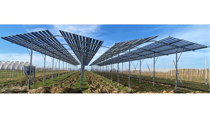 The semi-transparent modules allow plenty of light to reach the plants. - © Gridparity

